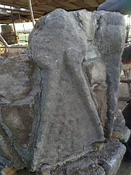 stcronans 3515.jpg